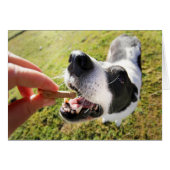 ペット用着席カードをありがとう (正面横)