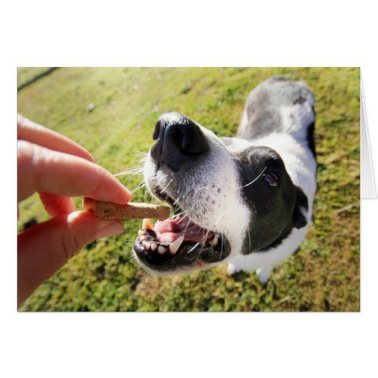 ペット用着席カードをありがとう (正面横)