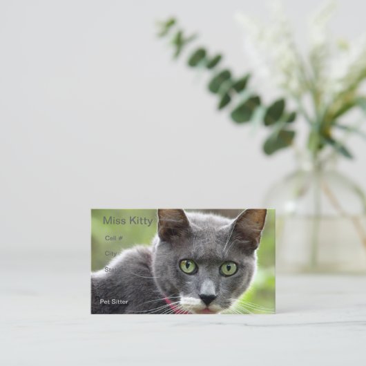 ペット用着座名刺 名刺 (スタンド正面)