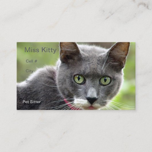 ペット用着座名刺 名刺 (正面)