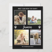 ペット発表新しいファーベビーフォトコラージュ 案内状 (正面)