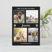 ペット発表新しいファーベビーフォトコラージュ 案内状 (スタンド正面)