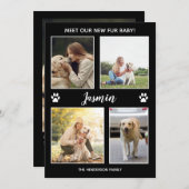 ペット発表新しいファーベビーフォトコラージュ 案内状 (正面/裏面)