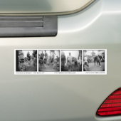 ペット石のバンパーステッカー バンパーステッカー (車上)