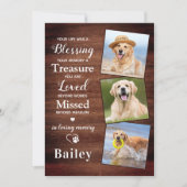 ペット素朴ロスパーソナライズされた3 Photo Dog記念碑 サンキューカード (正面)