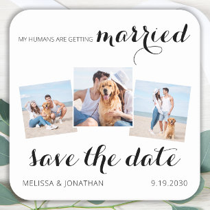 ペット結婚の3フォトコラージュ犬の日付を保存 スクエアペーパーコースター