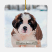 ペット記念の写真のオーナメント セラミックオーナメント (裏面)