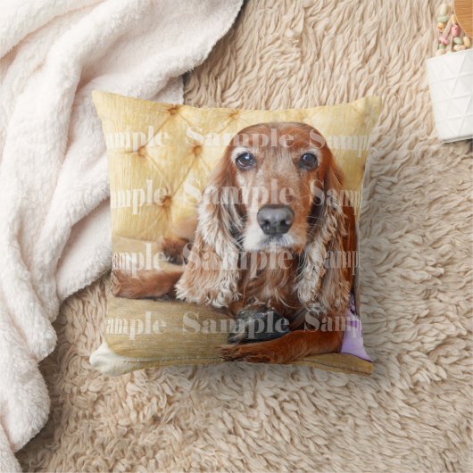 ペット記念の写真の記念品|は個人化なります クッション (ブランケット)