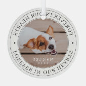 ペット記念の永遠のハートモダン写真 ガラスオーナメント (裏面)