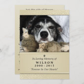 ペット記念カード5"x7"クレメモダン – 雄ペット 案内状 (正面/裏面)