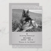 ペット記念カード5"x7"グレーモダン写真 案内状 (正面/裏面)