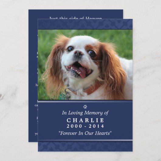 ペット記念カード5"x7"ネイビーブルー – オス用 案内状 (正面/裏面)