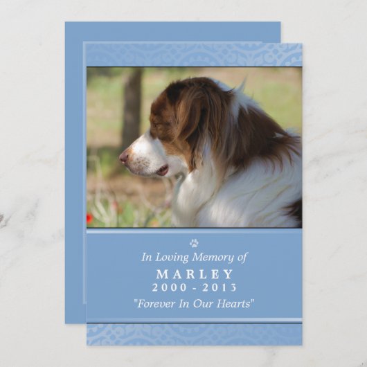 ペット記念カード5"x7"ライトブルーペット祈りの言葉 案内状 (正面/裏面)