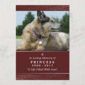 ペット記念カード5"x7"レインボーブリッジ(メス) プログラム (正面)