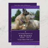 ペット記念カード5"x7"紫色の写真 – 女性ペット 案内状 (正面/裏面)