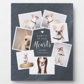 ペット記念パーソナライズされた写数々の真コラージュ フォトプラーク (正面)