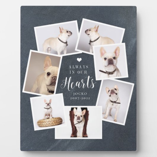 ペット記念パーソナライズされた写数々の真コラージュ フォトプラーク (正面)