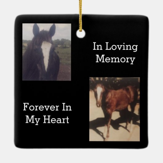 ペット記念二写真記念 セラミックオーナメント (裏面)