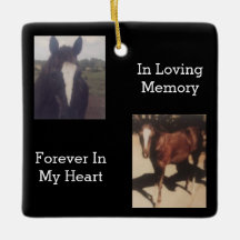 ペット記念二写真記念