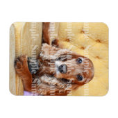 ペット記念写真のパーソナライズ マグネット (横)