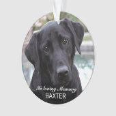 ペット記念写真の作成 オーナメント (正面)