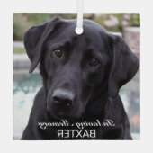 ペット記念写真の作成 ガラスオーナメント (裏面)