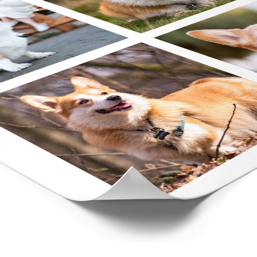 ペット記念写真パーソナライズされた11枚 ポスター (角)