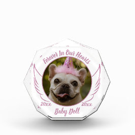 ペット記念写真名日記念ギフト フォトブロック