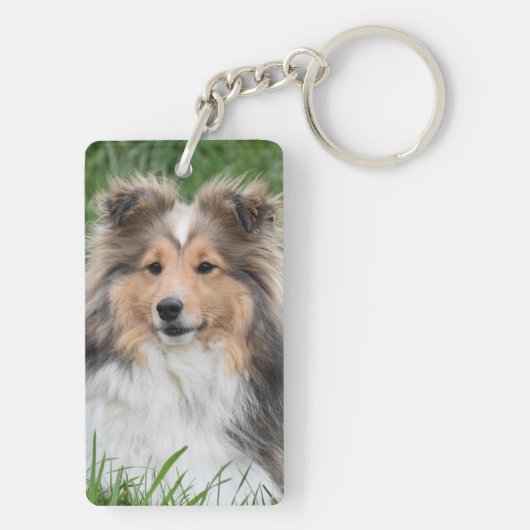 ペット記念写真悔やみや弔慰犬ペットロス記念 キーホルダー (裏面)