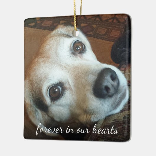 ペット記念写真2永遠に私たちのハート セラミックオーナメント (左)