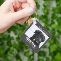 ペット記念悔やみや弔慰写真