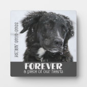 ペット記念悔やみや弔慰写真 フォトプラーク (正面)