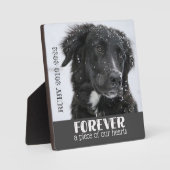 ペット記念悔やみや弔慰写真 フォトプラーク (正面)