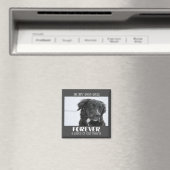 ペット記念悔やみや弔慰写真 マグネット (インサイチュ (食洗機))