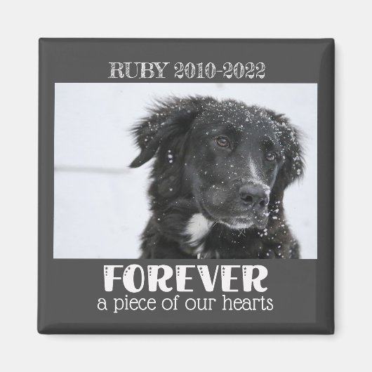 ペット記念悔やみや弔慰写真 マグネット (正面)