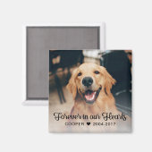 ペット記念悔やみや弔慰写真 マグネット (正面/裏面)