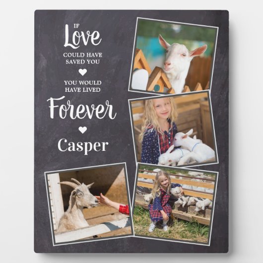 ペット記念悔やみや弔慰記念ペットロス4写真 フォトプラーク (正面)