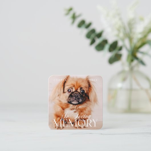 ペット記念愛思い出シンプルモダン写真 スクエア名刺 (スタンド正面)