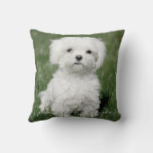 ペット記念撮影ハートハートカラー紙吹雪 クッション (裏面)