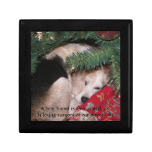 ペット記念物箱