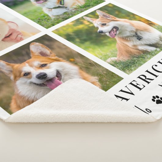 ペット記念犬の思い出パーソナライズされた4写真 シェルパブランケット (3/4)