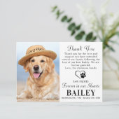 ペット記念犬の損失写真モダン悔やみや弔慰 サンキューカード (スタンド正面)