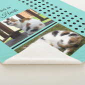 ペット記念猫造幣局と黒の追加の写真 シェルパブランケット (3/4)