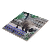 ペット記念瓦シールポイント猫 タイル (側面)