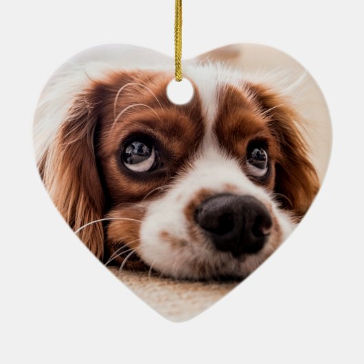 ペット記念碑 |自分の写真を作成 セラミックオーナメント (裏面)