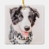 ペット記念記念の永遠に私たちのハート写真 セラミックオーナメント (正面)