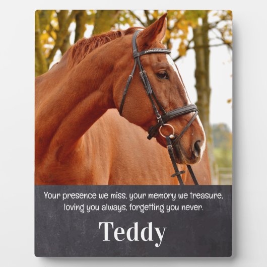 ペット記念記念カスタム馬の写真 フォトプラーク (正面)