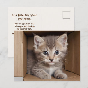 ペット試験用虎猫子猫 ポストカード