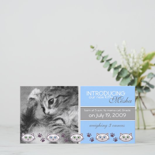 ペット誕生のお知らせ 案内状 (スタンド正面)