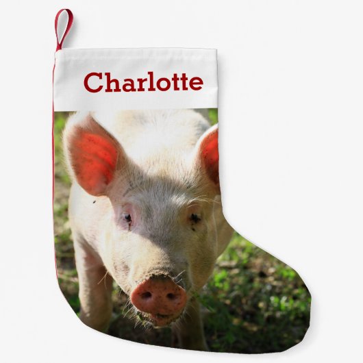 ペット豚の恋人の写真と名前パーソナライズされた スモールクリスマスストッキング (正面)